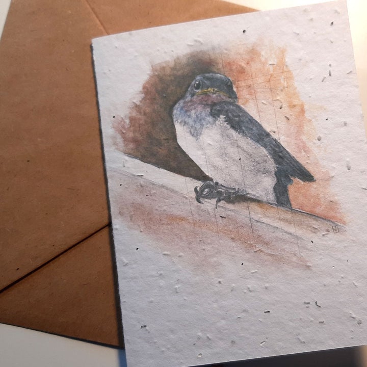 Barn Swallow Fledgling - seed paper greeting card