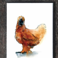 Silkie Hen - seed paper greeting card