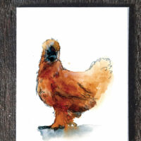 Silkie Hen - seed paper greeting card