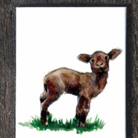 Springtime Lamb - seed paper greeting card