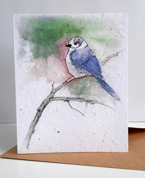 Canada jay - seed paper greeting card