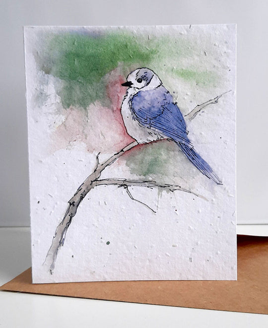Unique greeting card of Jennifer's farm inspired artwork on plantable wildflower seed paper. An ideal way to send your feeling and give the gift of plants as well.Each card is 4"x5" and comes with it's own recycled, unbleached kraft paper envelope. Plantable paper is a biodegradable eco-paper made with post-consumer and post-industrial paper waste that is embedded with seeds. (No trees harmed for this paper!) When the paper is planted in a pot of soil, the seeds grow and the paper composts away. Canada Jay - seed paper greeting card