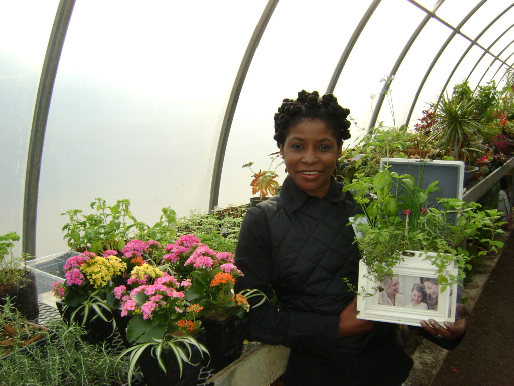 Herb box greenhouse
