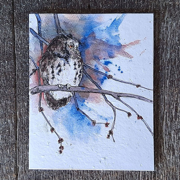Eastern screech owl - seed paper greeting card