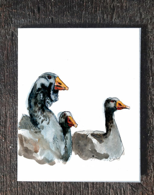 Toulousegeese01 unique greeting card of jennifer's farm inspired artwork on plantable wildflower seed paper. An ideal way to send your feeling and give the gift of plants as well. Each card is 4"x5" and comes with it's own recycled, unbleached kraft paper envelope. Plantable paper is a biodegradable eco-paper made with post-consumer and post-industrial paper waste that is embedded with seeds. (no trees harmed for this paper! ) when the paper is planted in a pot of soil, the seeds grow and the paper composts away.