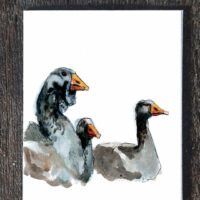 Toulouse geese - seed paper greeting card