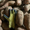 Yellow flesh med to large size. Very creamy for mashed potatoes. Jumbo Sweet Potato scaled Yellow flesh med to large size. Very creamy for mashed potatoes.