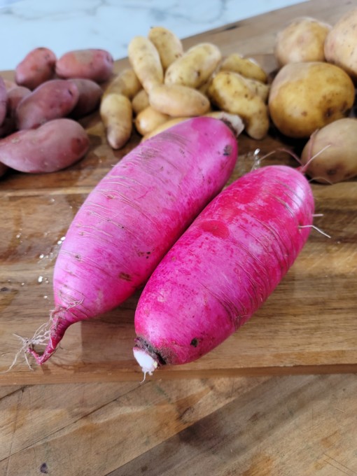 Red king radish scaled cert. Organic - our own! 2 lbs. Roasted or raw - these are mild, crunchy and delicious!
