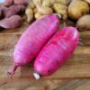 Red King Radish scaled Cert. organic - our own! 1/2 lb, washed! Sweet, delicious, nice and early greens!