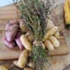 SOS Thyme scaled Cert. organic - our own! Red skin, yellow flesh. 2 lbs.