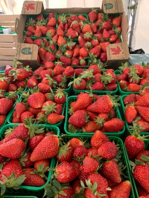 Everbearing Strawberries -sustainably grown - sweet and firm texture everbearing strawberries