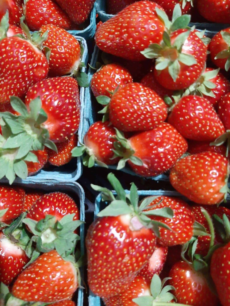 Organic strawberries 1 flat 6 quarts