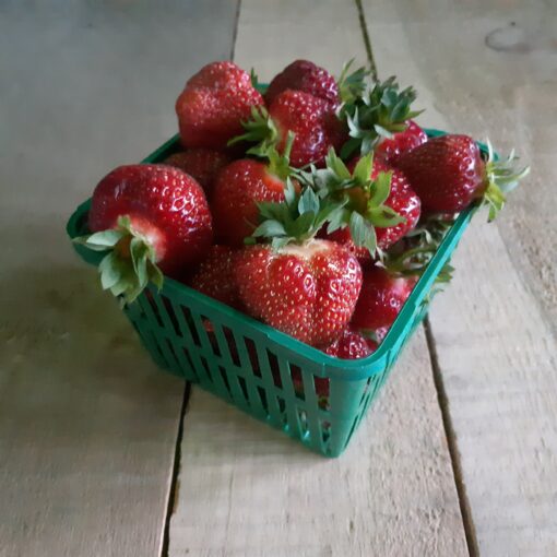Nith organic strawberries certified organic