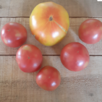 Tomatoes, heirloom bundle 2lbs