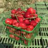 June Bearing Strawberries - season almost finished cherries