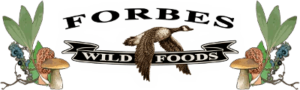 Forbes wild foods logo