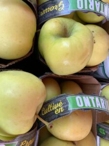 Golden apples from reyes farms