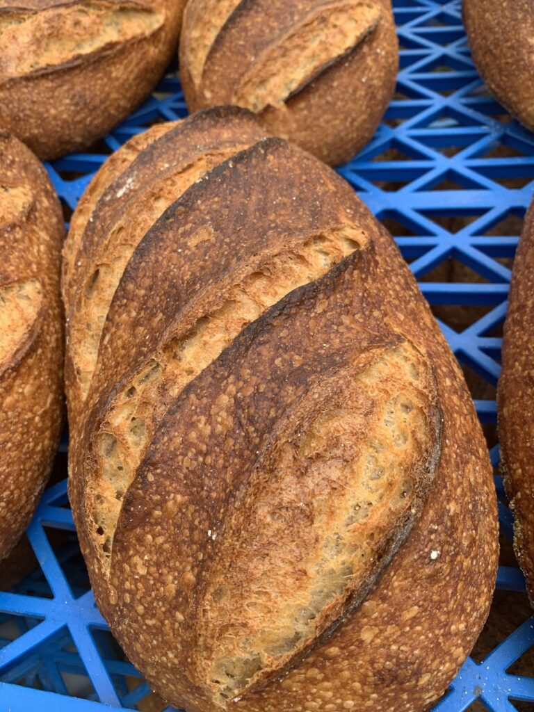 Nice looking organic bread