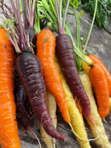 Carrots featuring fresh greens, fruit, kombucha, bread, seeds for growing, a beautiful printed card and more to keep you busy! Picture is an approximation of what you will receive.
