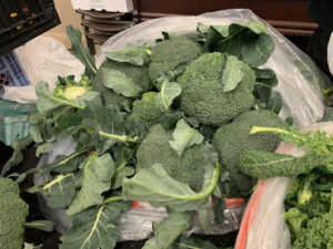 Broc a very generous bunch of peppery goodness to enhance your salads