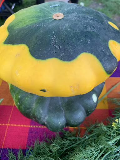 melon